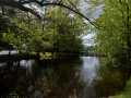 Property photo 54