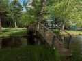 Property photo 56