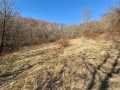 Property photo 44