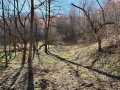 Property photo 46