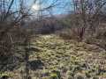 Property photo 50