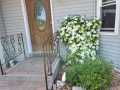 Property photo 56