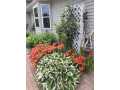 Property photo 57