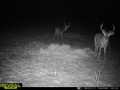 Property photo 50