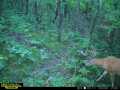 Property photo 52