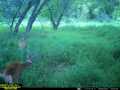 Property photo 54