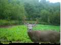 Property photo 56