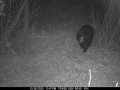 Property photo 51