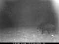 Property photo 53