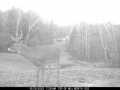 Property photo 54
