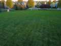 Property photo 50