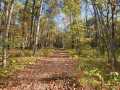 Property photo 46