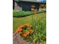 Property photo 56