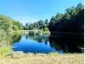 Property photo 50
