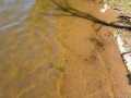 Property photo 54