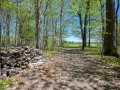 Property photo 57