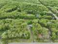 Property photo 58