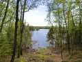 Property photo 41