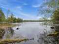 Property photo 45