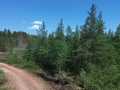 Property photo 16
