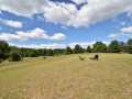 Property photo 57