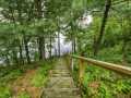 Property photo 55