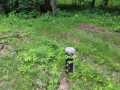 Property photo 40