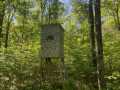 Property photo 43