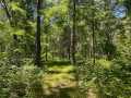Property photo 51