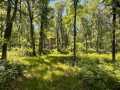 Property photo 52