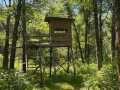 Property photo 53