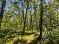 Property photo 54