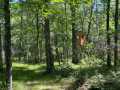 Property photo 55
