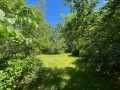 Property photo 58