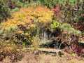 Property photo 49