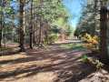 Property photo 50