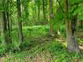 Property photo 43