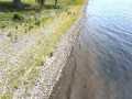 Property photo 49