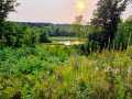 Property photo 50