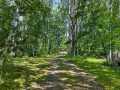 Property photo 36