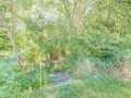 Property photo 55