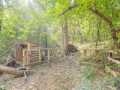 Property photo 57