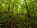 Property photo 46