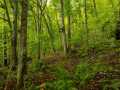 Property photo 47