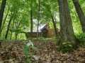 Property photo 44