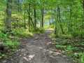 Property photo 50