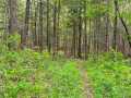 Property photo 51