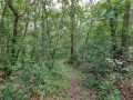 Property photo 50