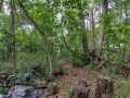 Property photo 51