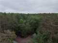 Property photo 55